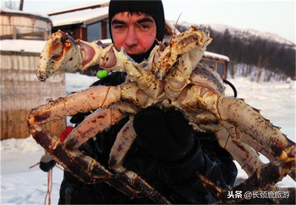 北欧旅行团早餐吃什么,去北欧旅游带什么食物