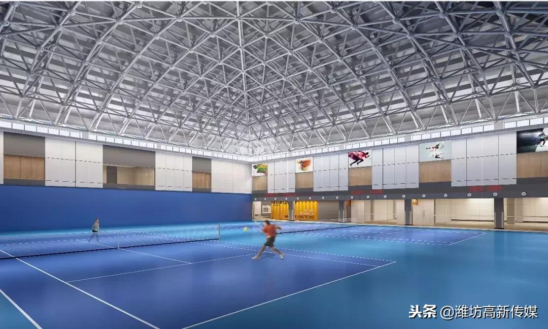 潍坊高新区商业综合体,潍坊高新区新城城市文化综合体