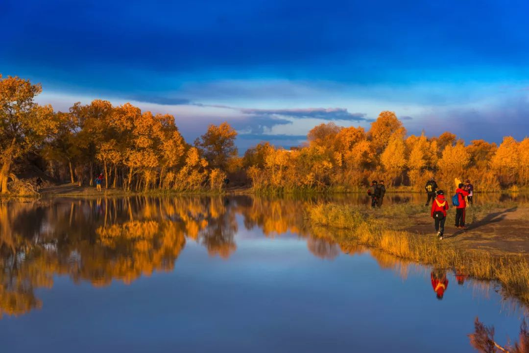 成都到额济纳胡杨林自驾旅游攻略,自驾胡杨林额济纳旗开什么车