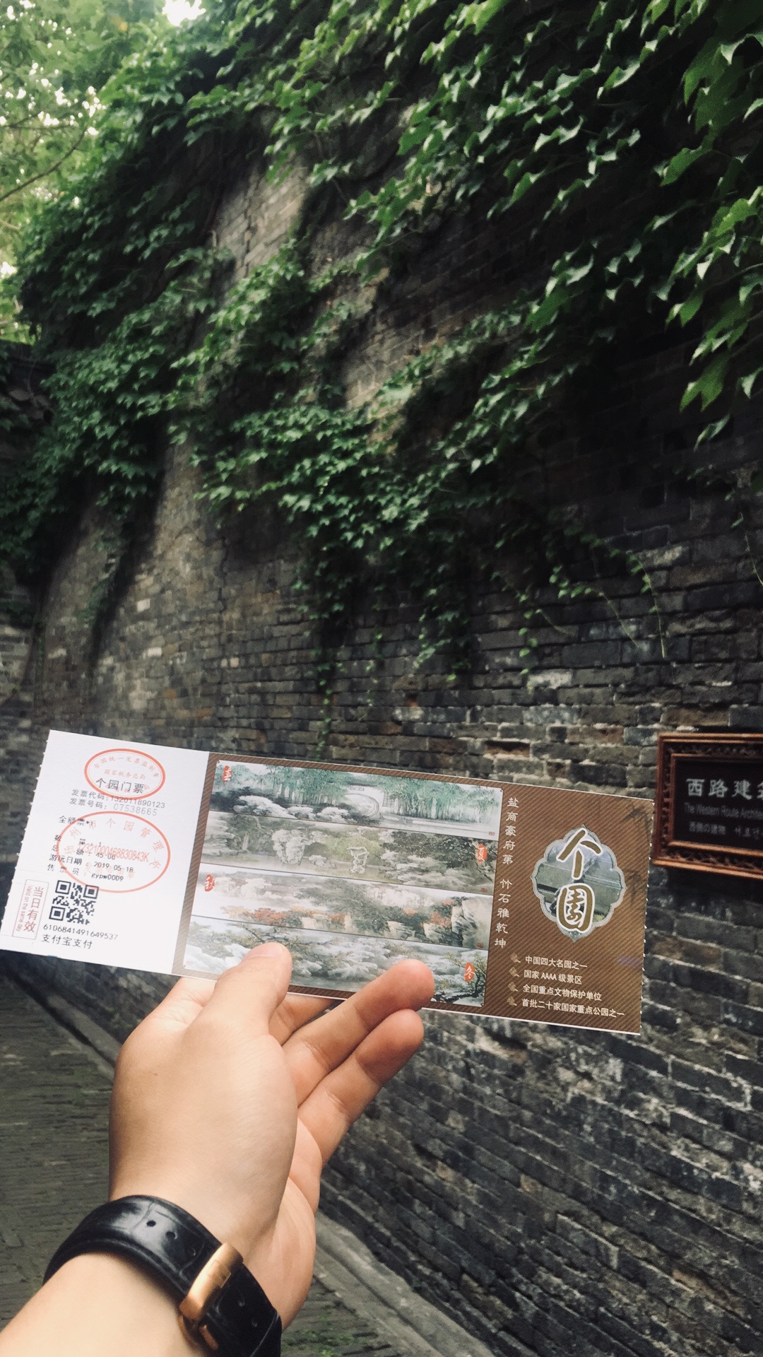 三月的扬州美景如画,烟花三月下扬州看遍扬州美景