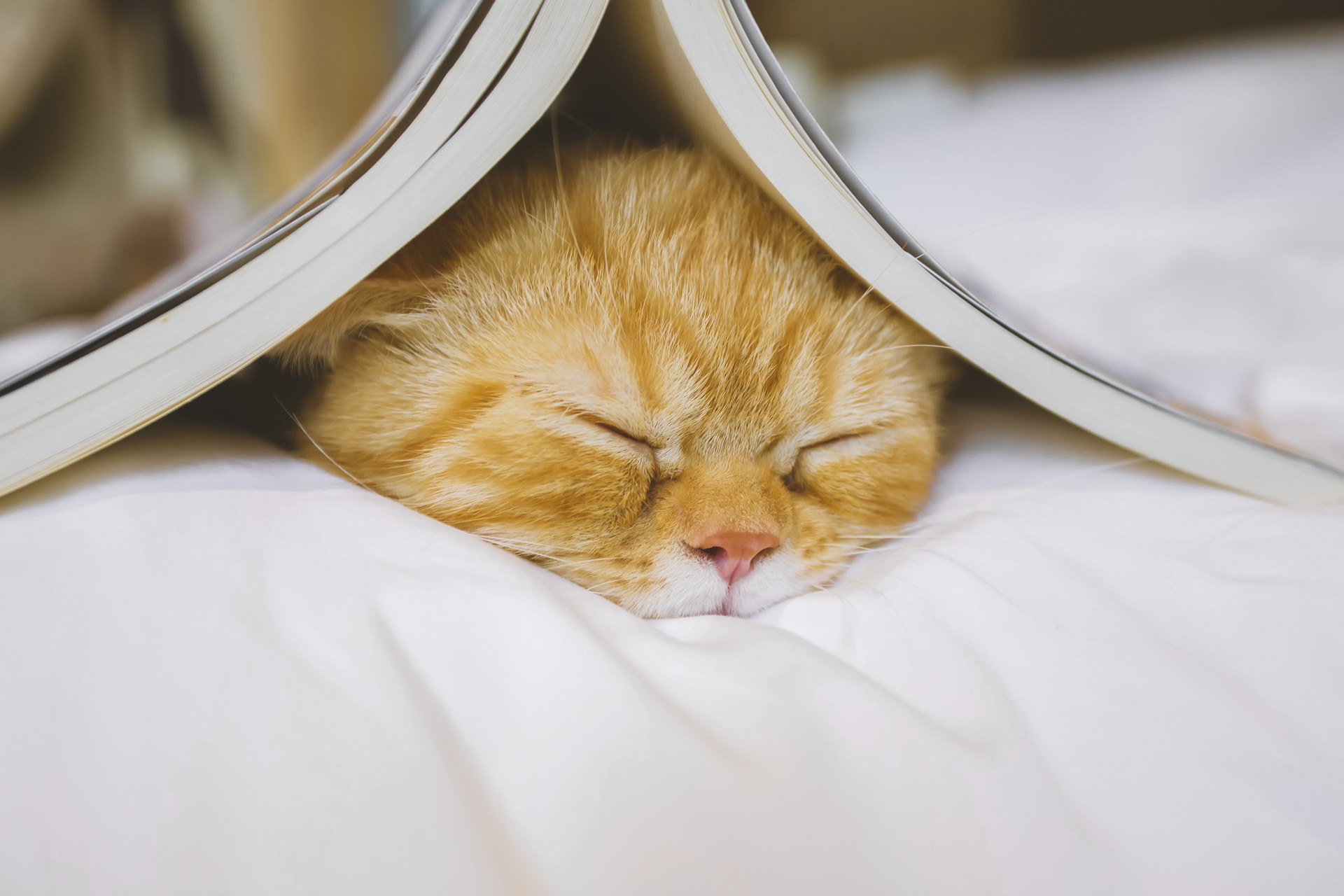 会计的194个分录,会计必背194个分录