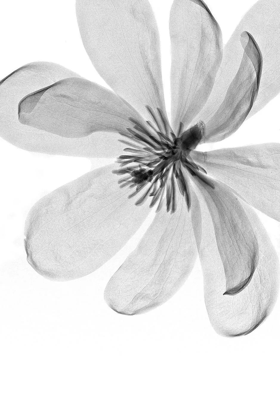 绉戠爺澹佺焊,绉戠爺浜虹殑鏂板勾澹佺焊