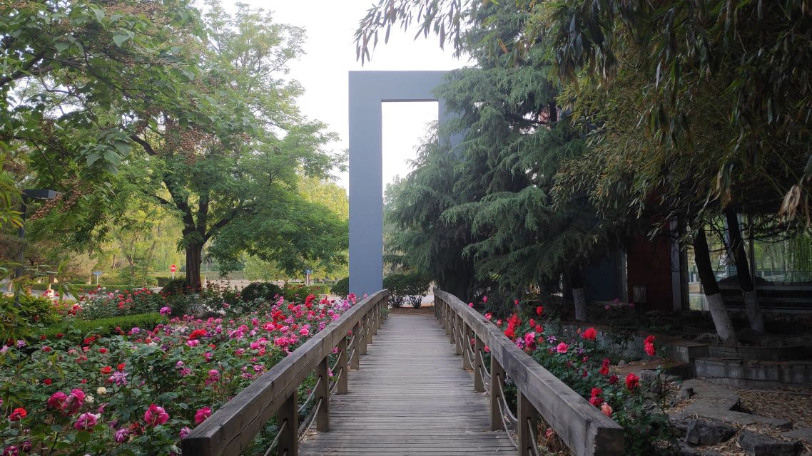 中国有几所中华女子学院,中华女子学院在全国高校排名