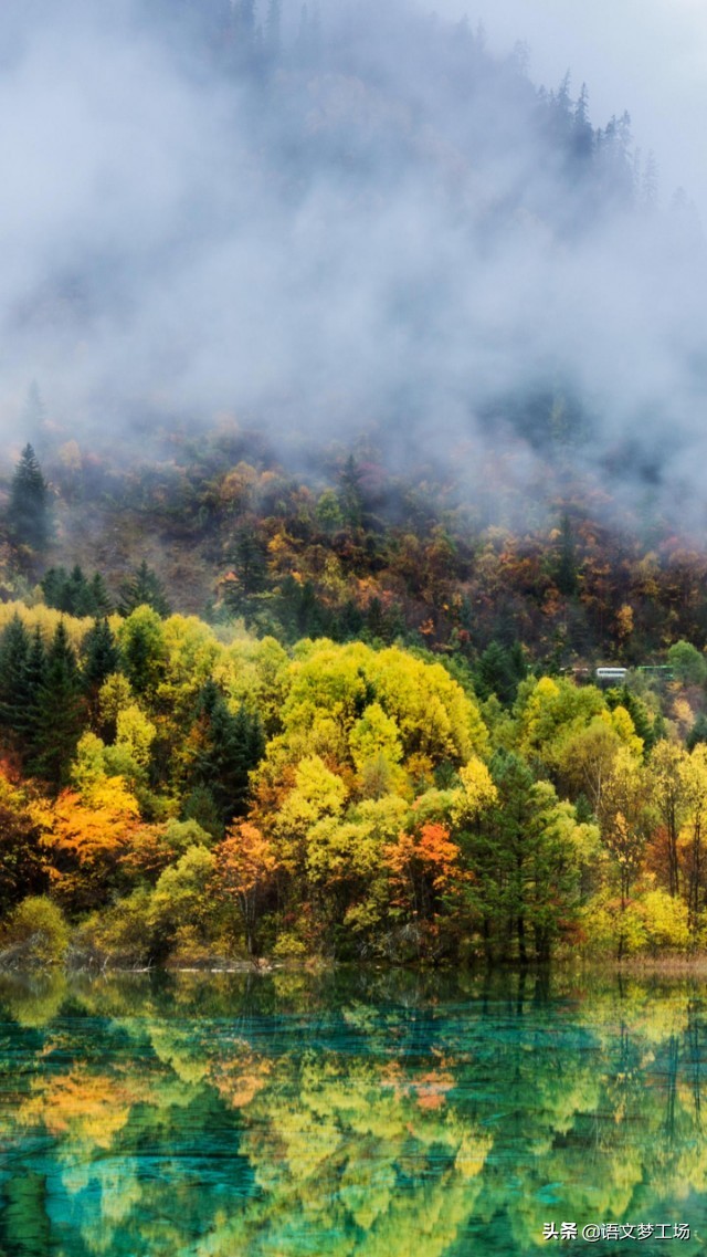 感恩老师的文章好句好段,描写感恩老师的比喻句
