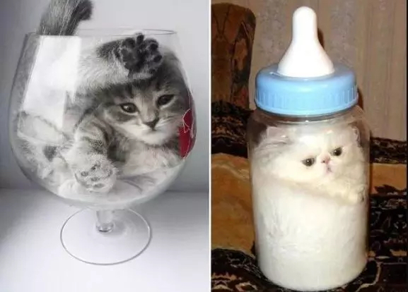 一只灵魂画手遇到猫,分享一组灵魂画手的作品