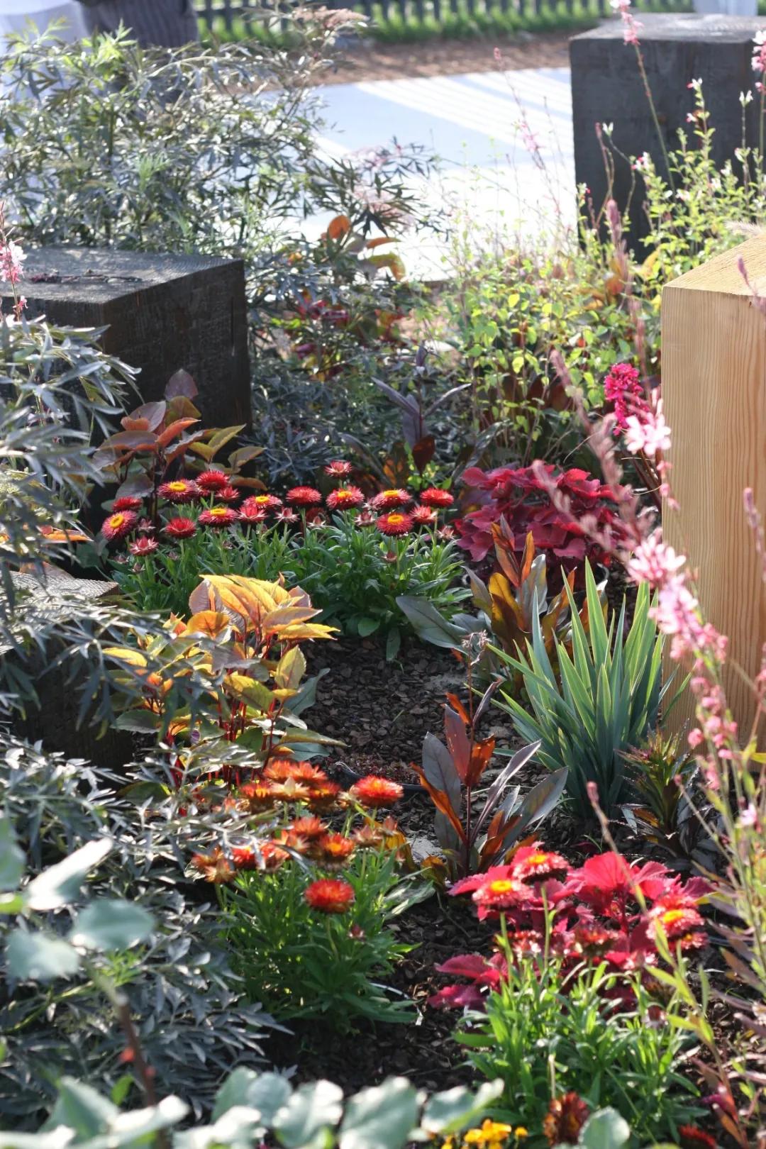 花展的意义,花展布展情况介绍