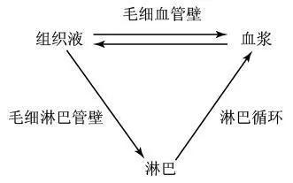 癌细胞扩散到骨头什么感觉,癌细胞扩散到淋巴是什么病