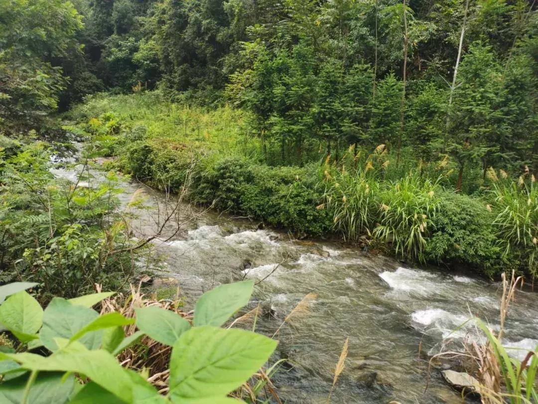 适合五一的浏阳民宿,浏阳最美民宿