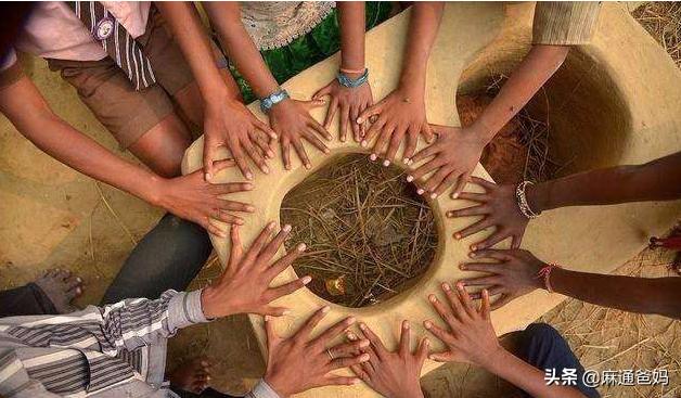 六只手指家族,六指家族