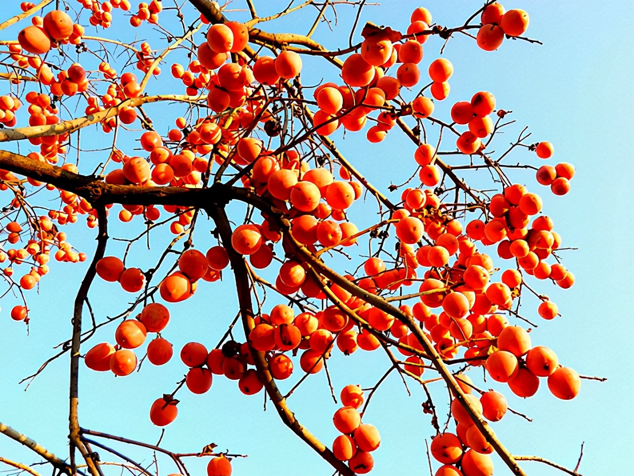 比大理丽江还美的地方,比大理丽江更值得去的地方腾冲