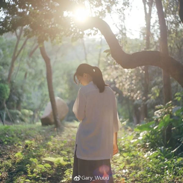 胶片机推荐平价,胶片机常用的胶卷推荐