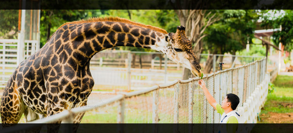 泰旅局发布2019年泰国旅游新玩法,曼谷漫游攻略