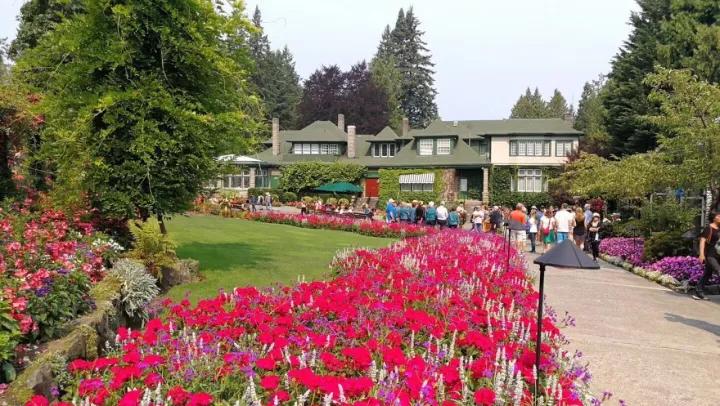 布查德花园的秋冬季,全球最美花园布查特花园