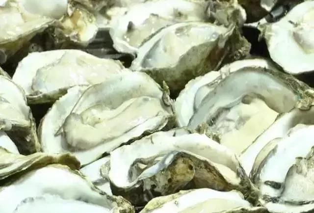 今年生蚝,今年生蚝便宜