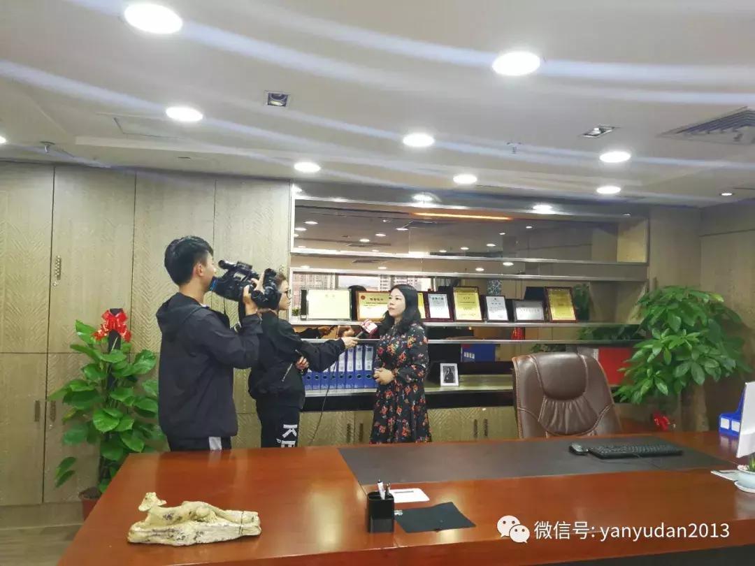 网红打卡店欺骗消费者,网红店排队内幕