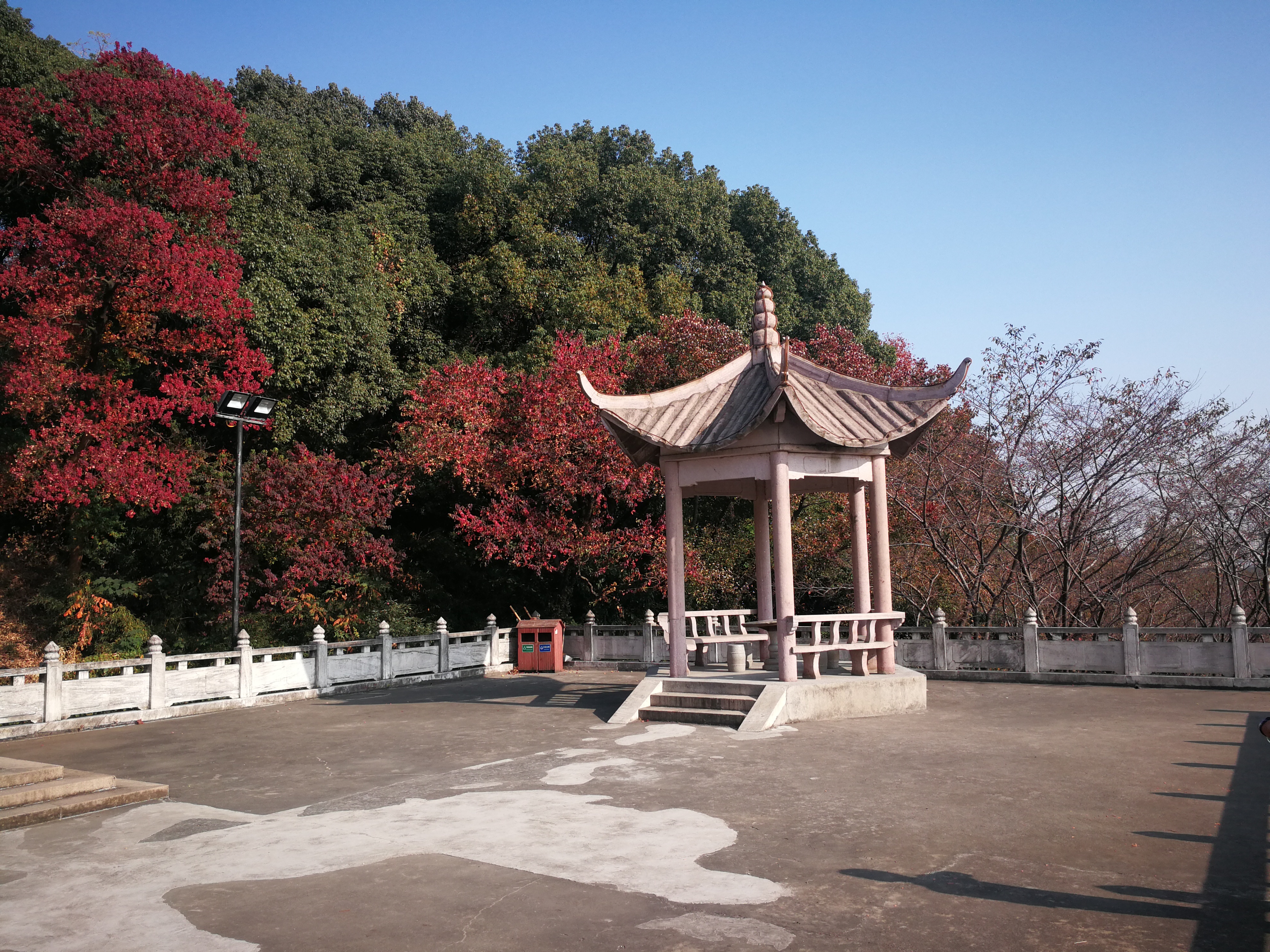 苏州上方山森林公园项目,苏州上方山森林公园好吗