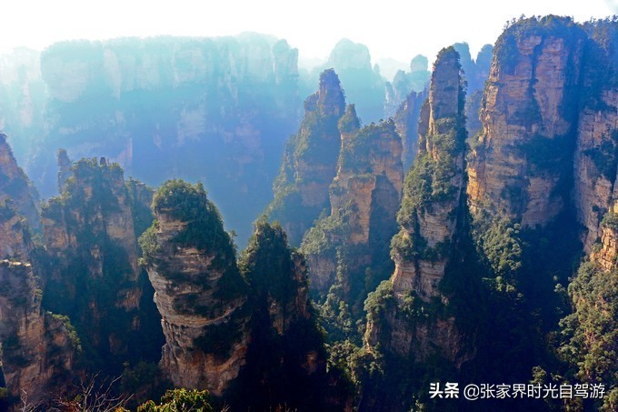 张家界森林公园亲子游攻略,张家界旅游攻略现在张家界气温