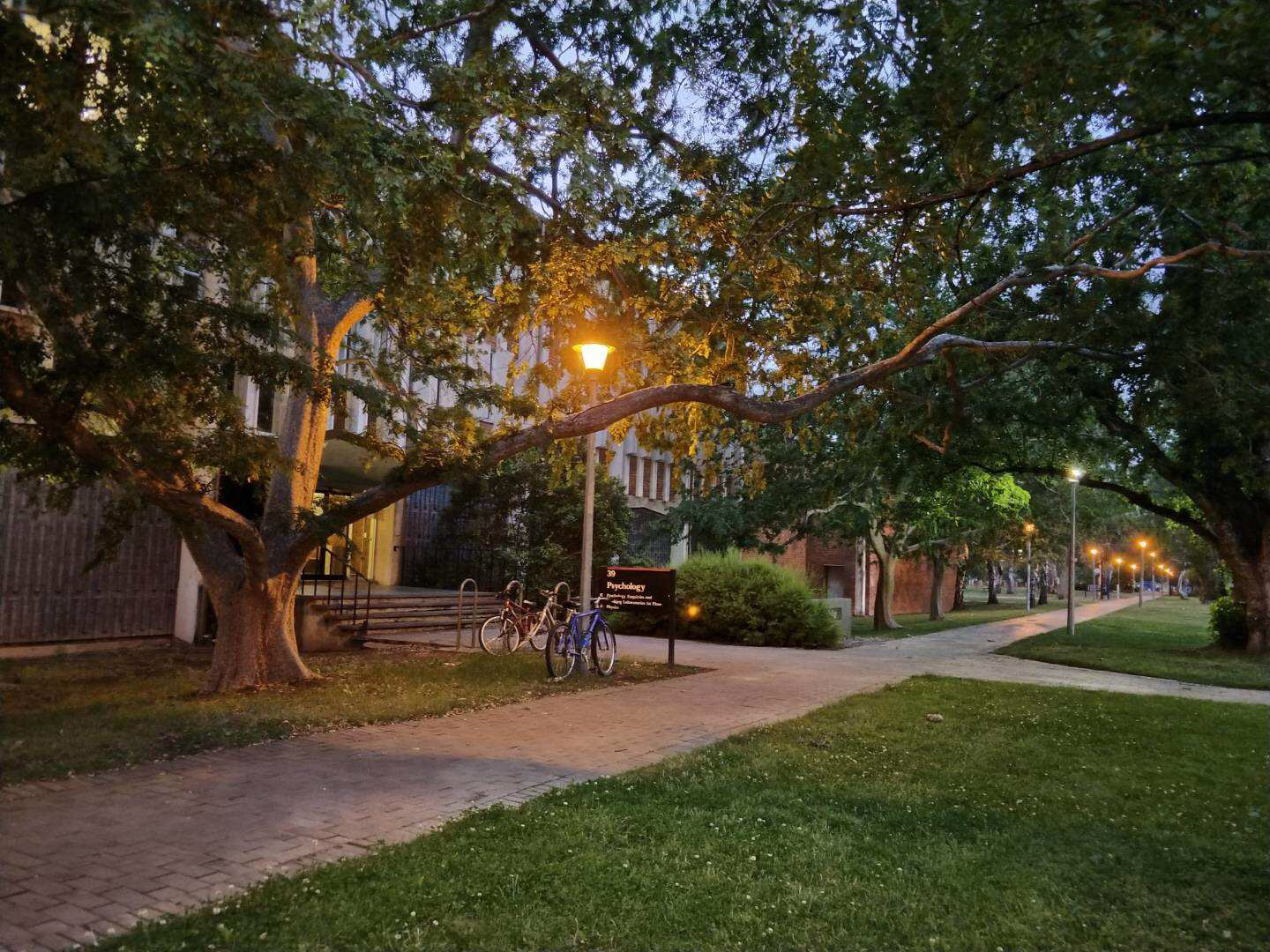 澳洲昆士兰大学宝藏专业,澳洲有前景专业有哪些