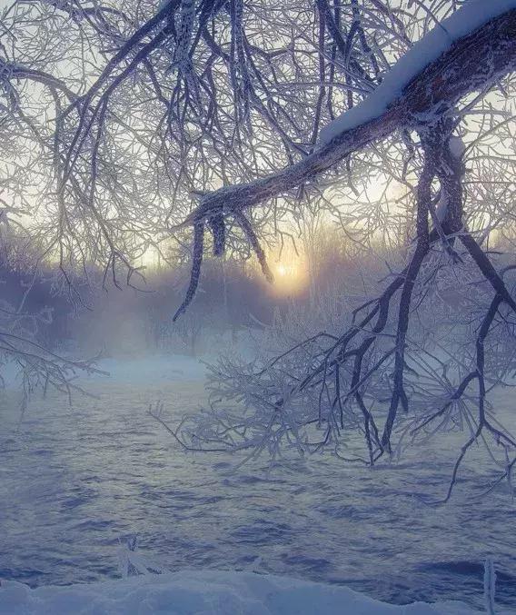 雾凇之美宛若仙境,连云港花果山雾凇美得像仙境