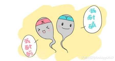 张柏芝贾静雯早期同台,贾静雯和张柏芝