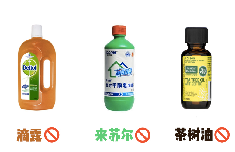 猫咪专用消毒剂哪个好,用什么药给猫咪消毒