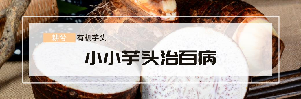 有机芋头丨人人嫌它长的丑，却在第一口后沦陷其中