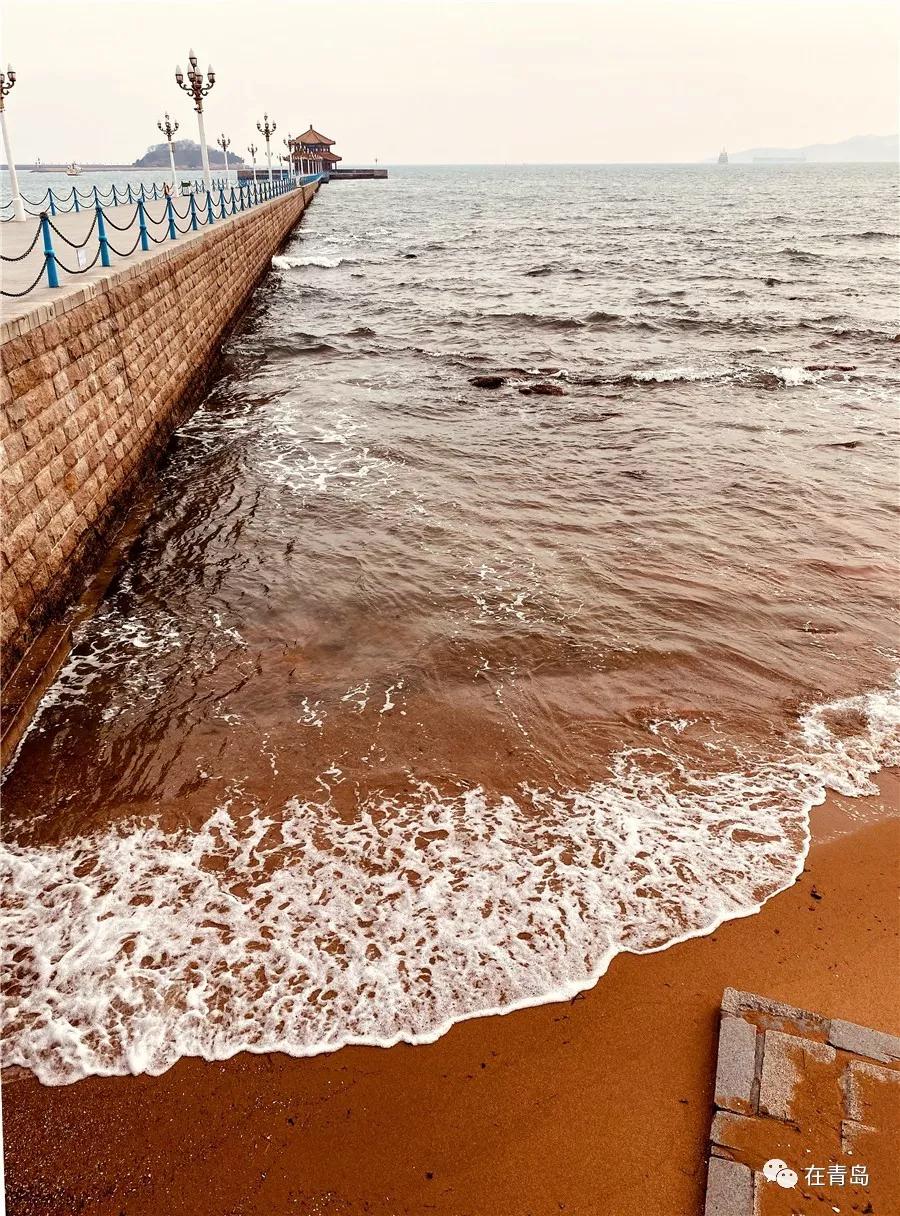 中山路步行街青岛改造完成,栈桥中山路视频