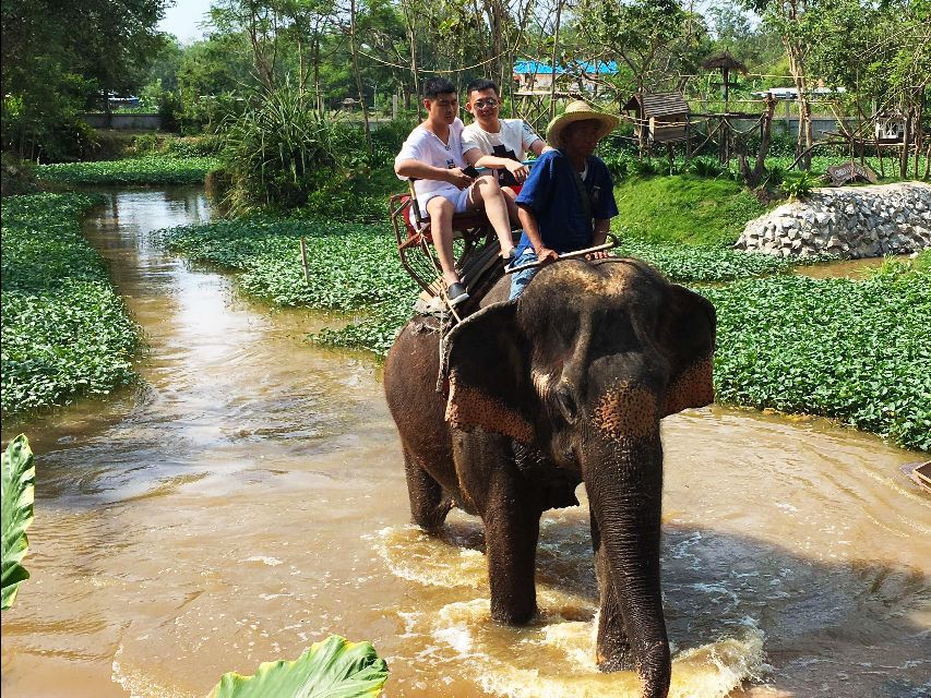 高级玩泰国：只有两个景点跟团会去，其他的跟团多少次都不可能去