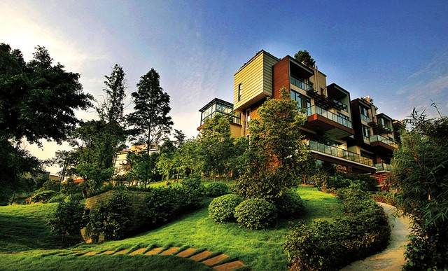 金科地产榜样中国