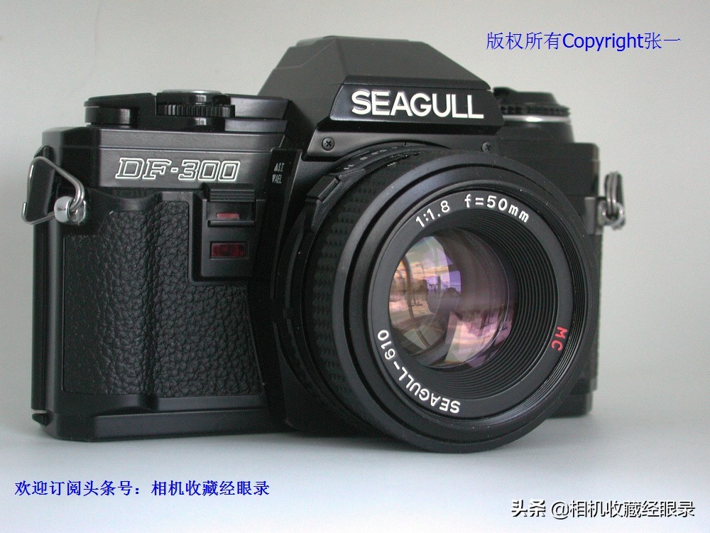 海鸥seagull相机,上海海鸥照相机所有型号序列号