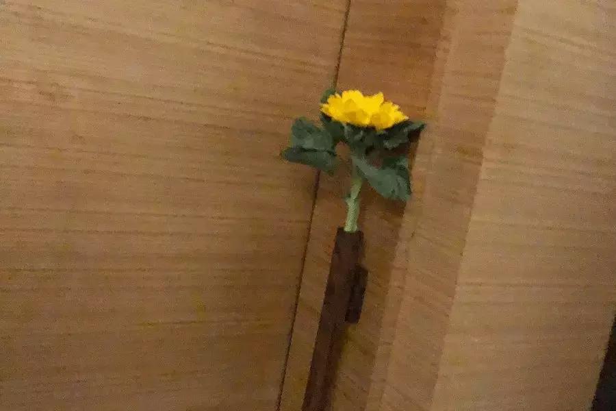 玩是人生最高的境界,玩是一种人生态度