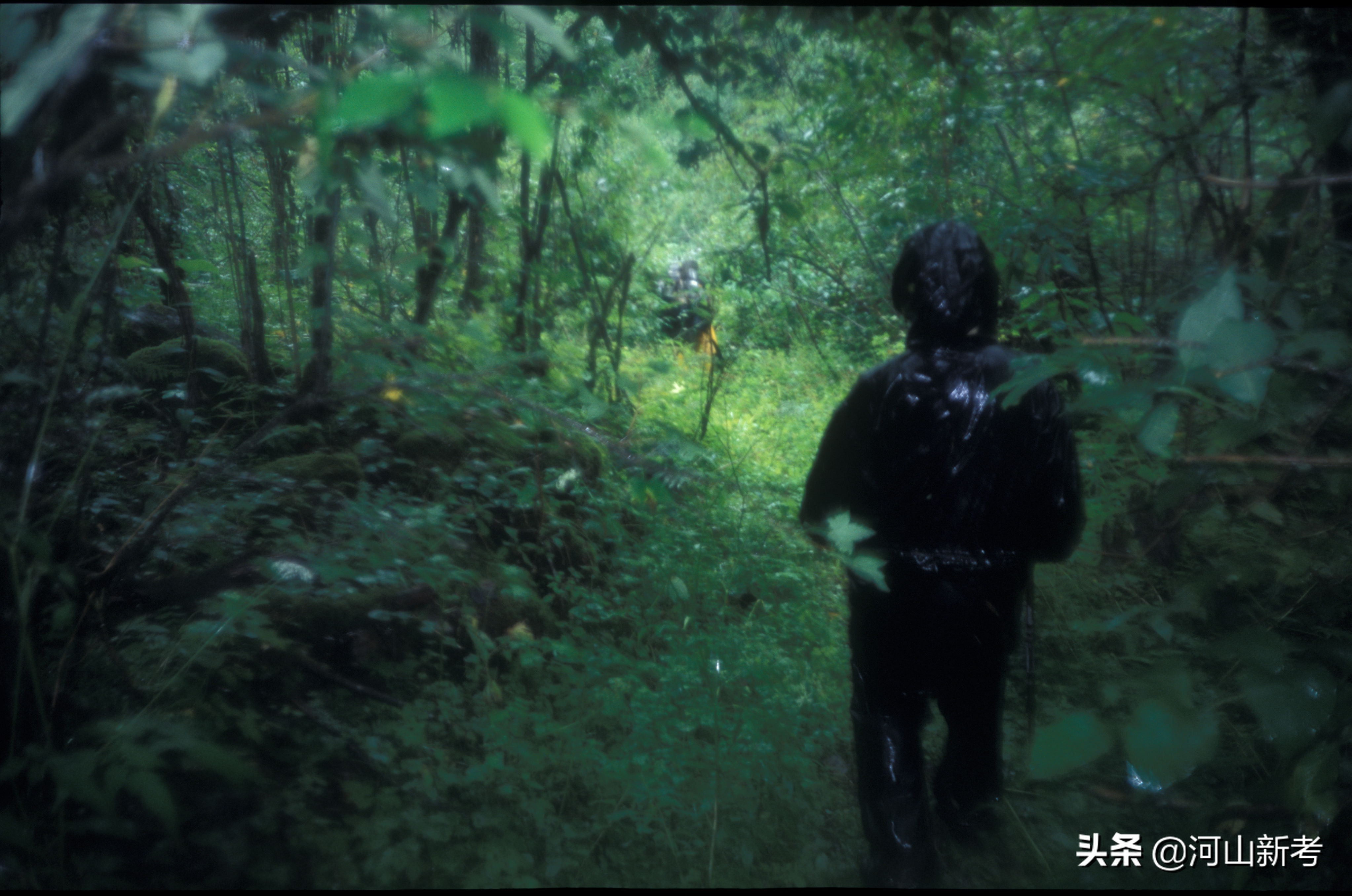 古栈道是如何修建的,古栈道是怎么建造的