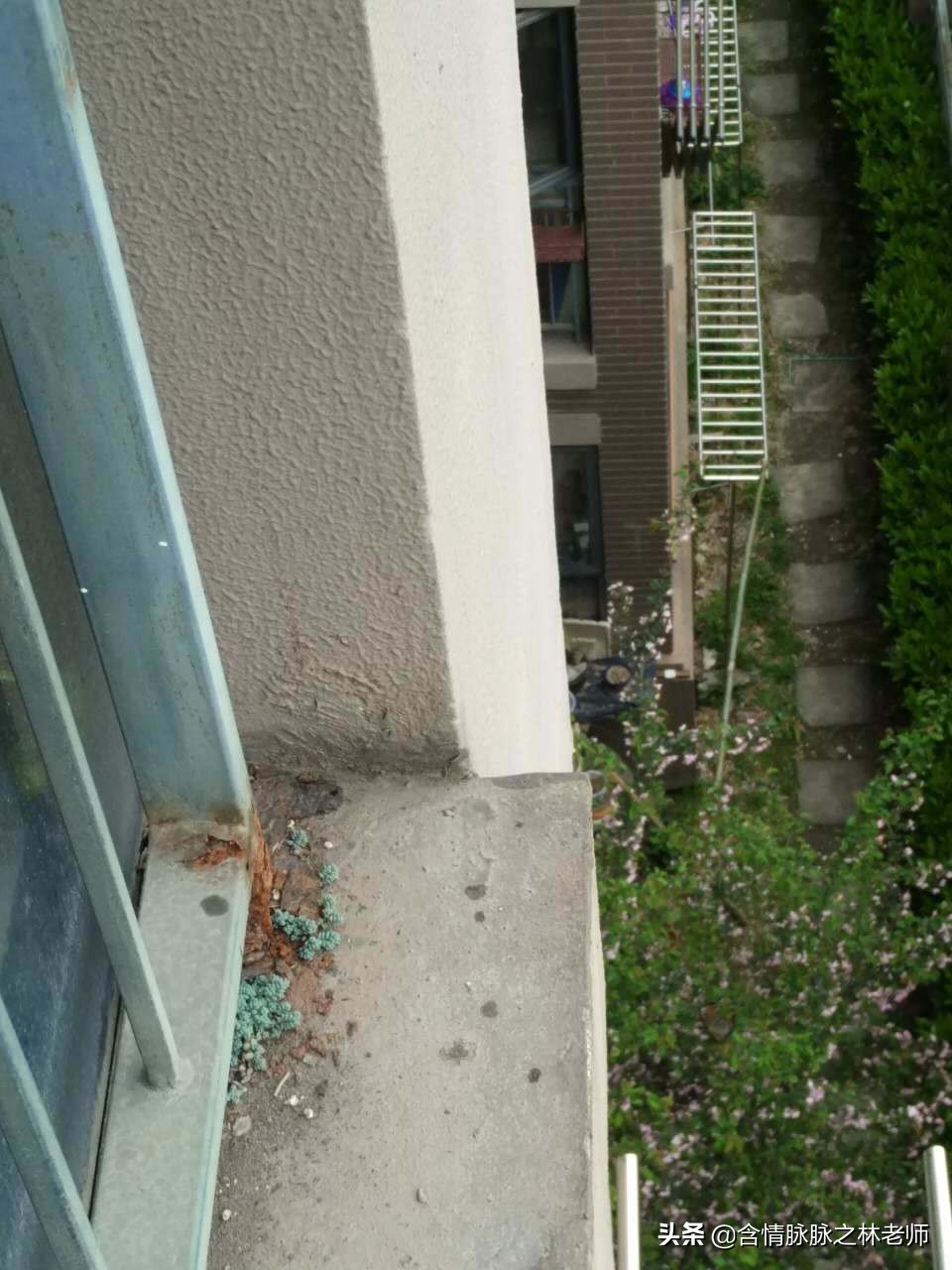 家里植物长得不好有什么说法,家里什么植物都养不好是什么原因