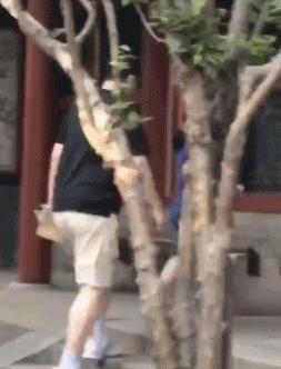 濮氭槑浠栧コ鍎跨幇鍦ㄨ韩楂樻湁澶氬皯,濮氭槑鐨勭幇鍦ㄥコ鍎胯韩楂樺灏戠背