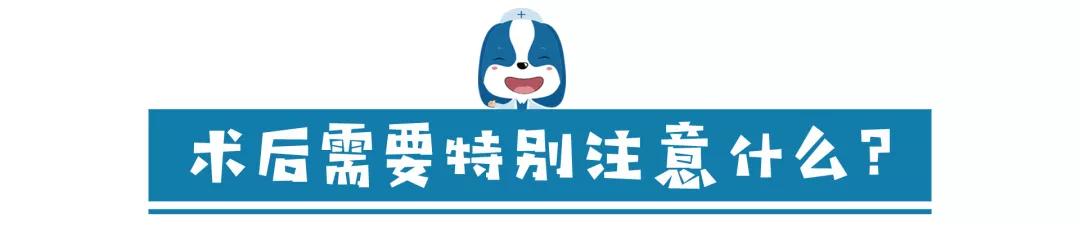 儿童眼角长个黑色的小肉球,小奶猫眼睛长肉球怎么办