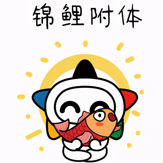 欧洲杯来临,欧洲杯即将到来