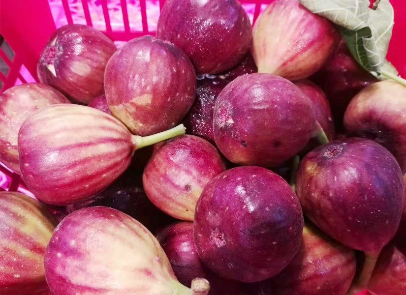 立秋后不能吃石榴吗,立秋必吃的七种水果