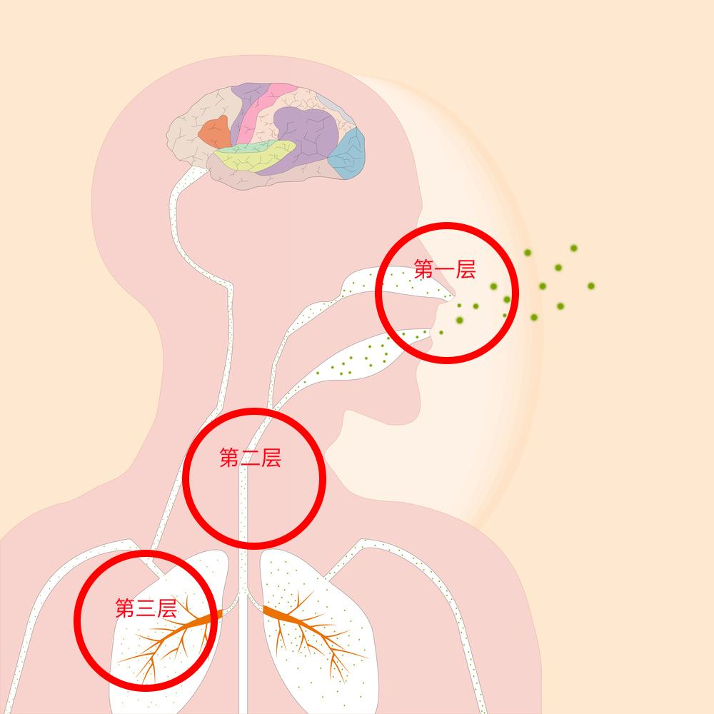 戒烟后变黑的肺能恢复吗,戒烟之后变黑的肺还能白回来吗