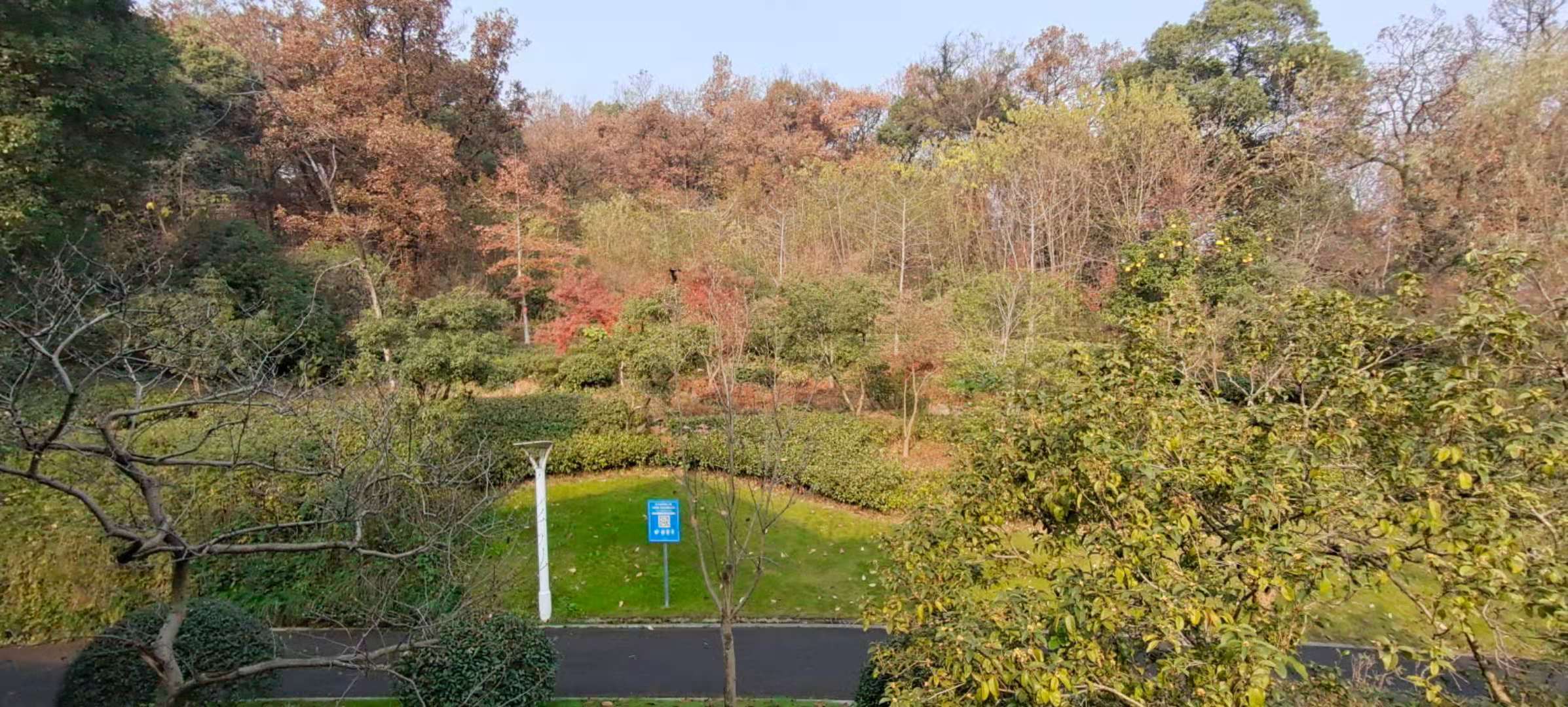 西湖国宾馆周边美景,西湖国宾馆风景