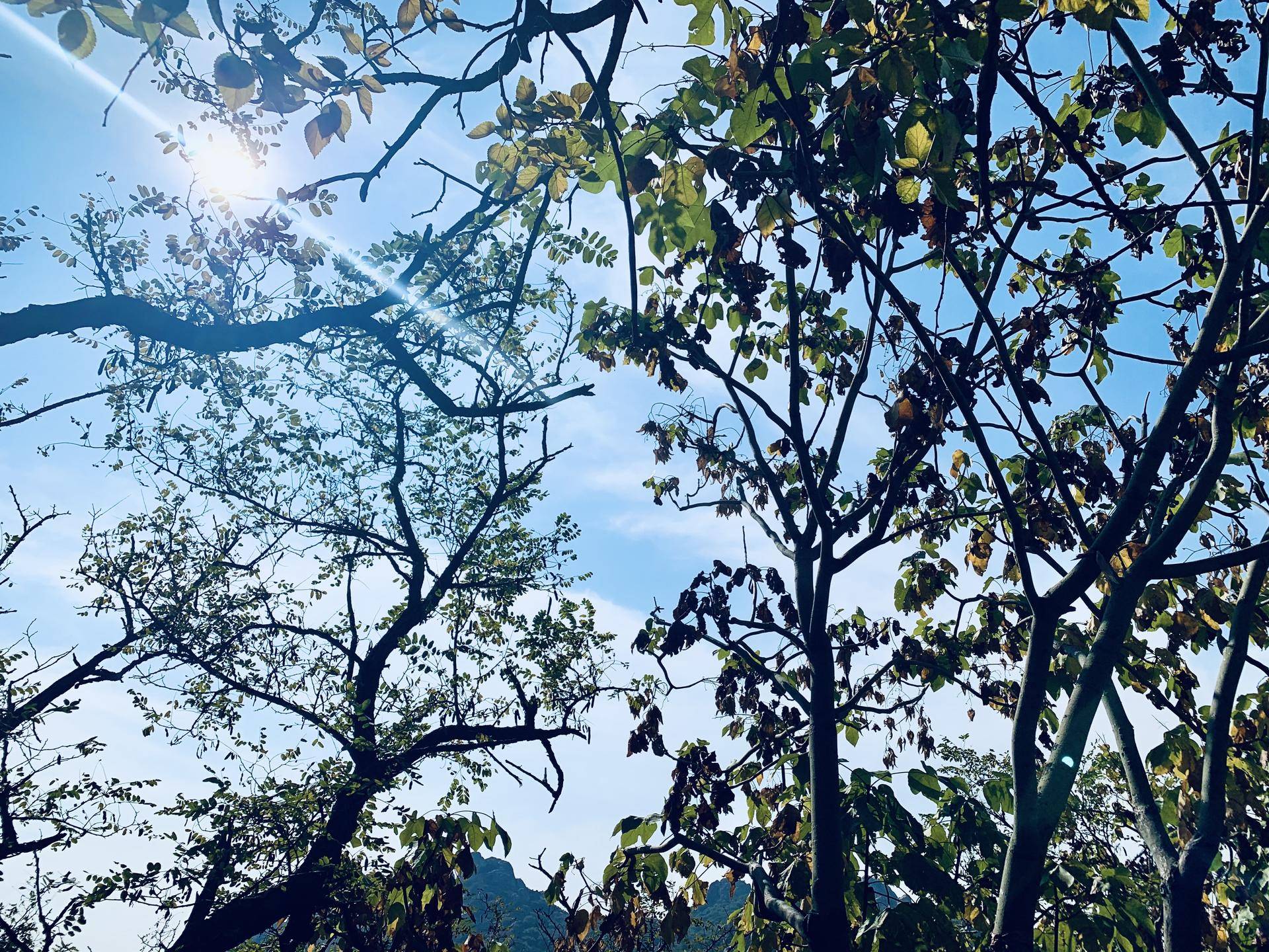 有山有水民宿原生态旅游,有山有水有云民宿名字