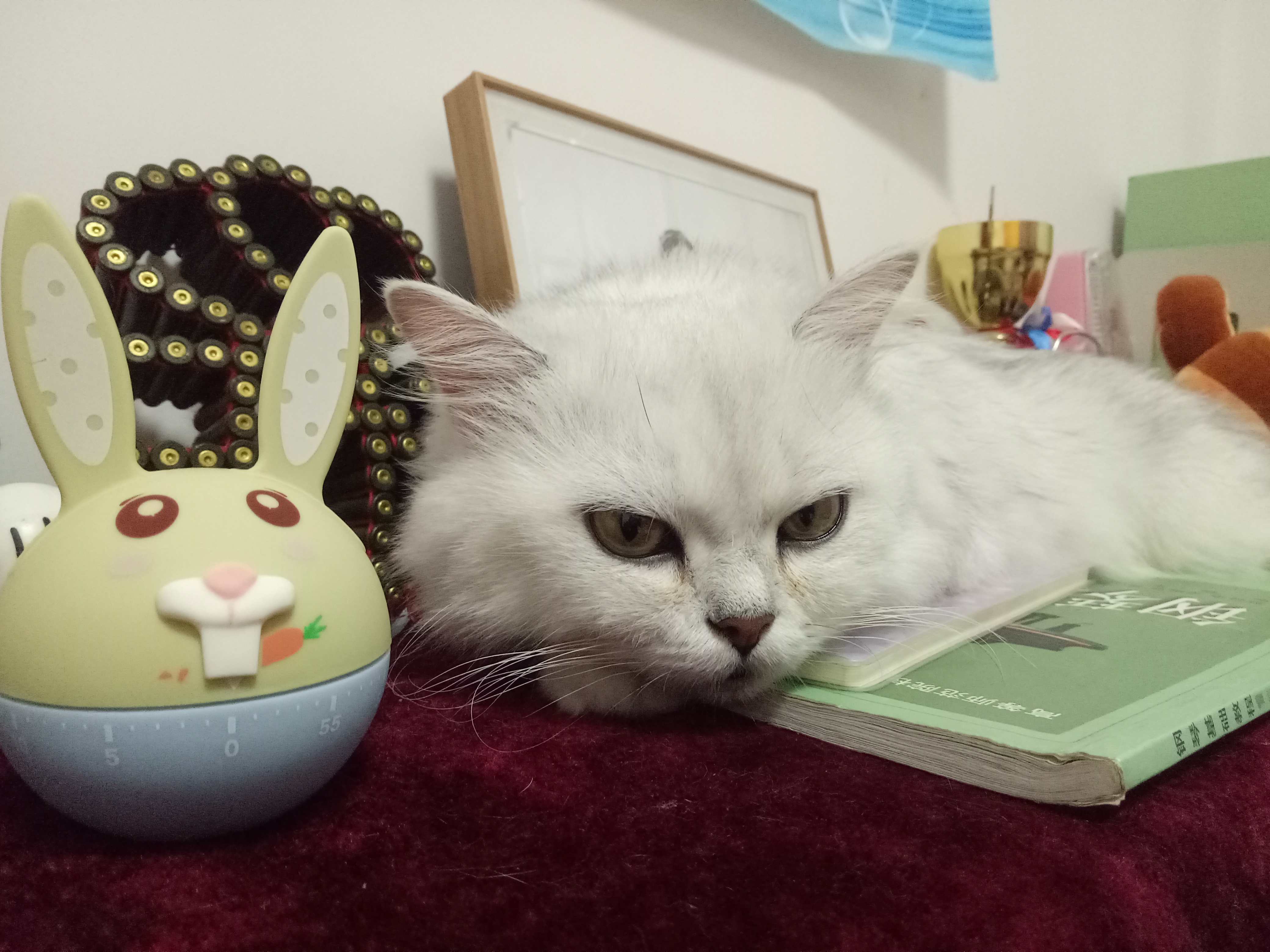 绗ㄧ鐚効绔ュ脊閽㈢惔瑙嗛,绗ㄧ鐚脊閽㈢惔瑙嗛