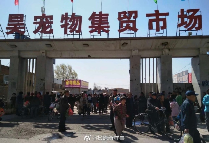 松原江北狗市搬迁到哪里 (松原狗市搬哪去了2019)