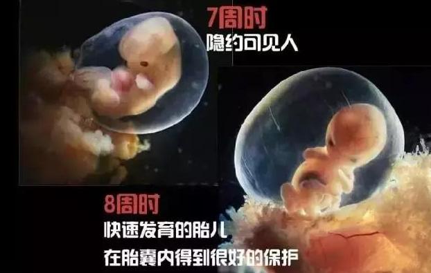 子宫有点薄有事吗,子宫又小又薄怎么回事