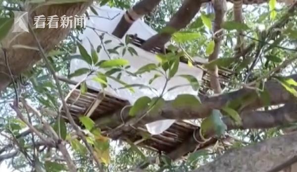 印度疫情最新真实状况,印度疫情真实记录