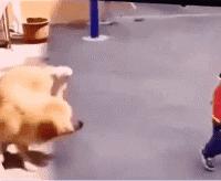 我爸总找不到谷歌浏览器的壁纸,当我的老爸找不到谷歌浏览器