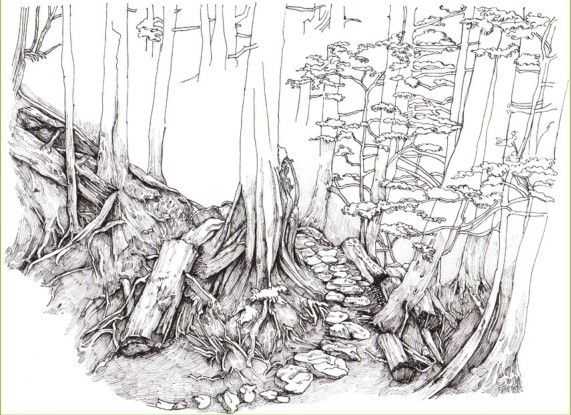 彩铅入门基础教程风景画,彩铅风景画教程简单入门