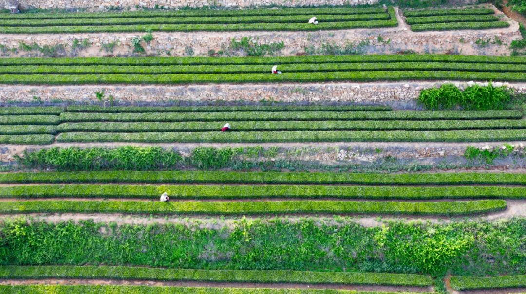 东港这么美！我要去看看