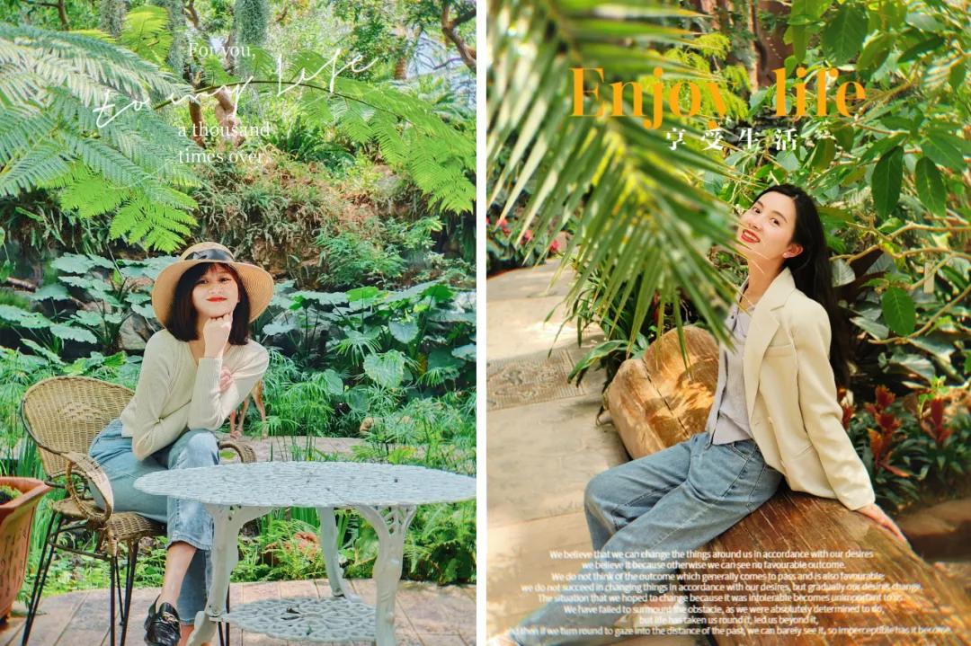 青岛粉黛花海拍照,青岛好看的拍照地怎么拍