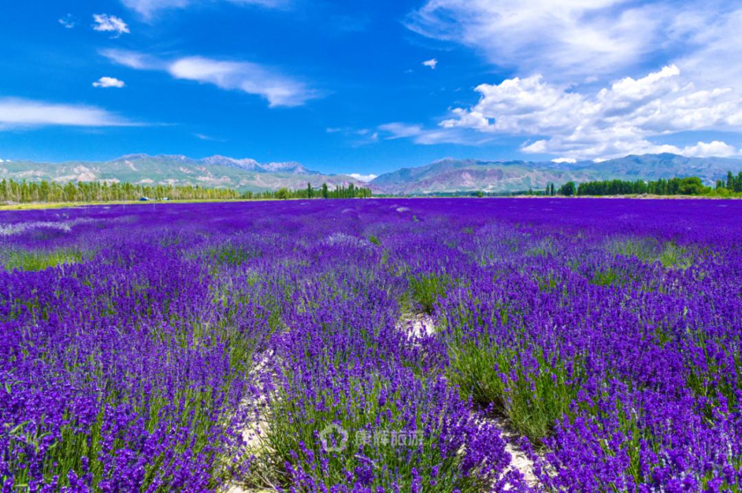 旅行中的故事讲述,旅行过程中的故事