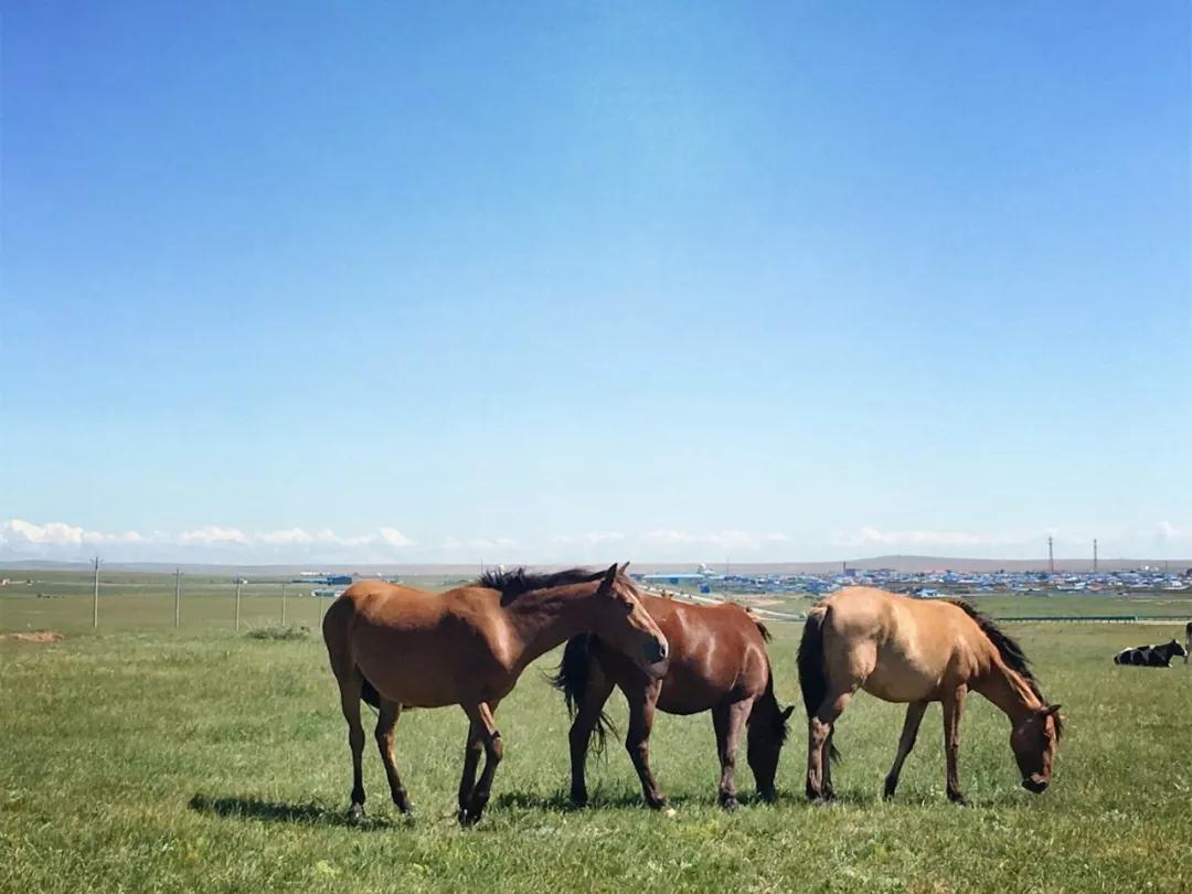 云旅游带你看遍天下美景,一起去旅行吧旅游